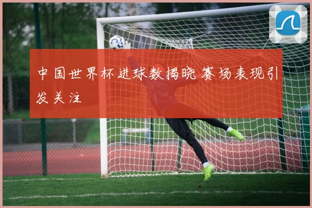 中国世界杯进球数揭晓 赛场表现引发关注
