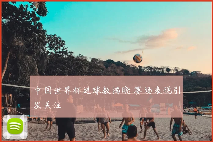 中国世界杯进球数揭晓 赛场表现引发关注